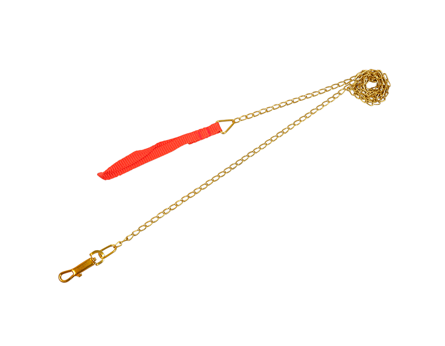 Pet chain leash